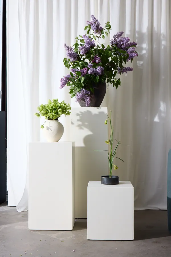 Design floral