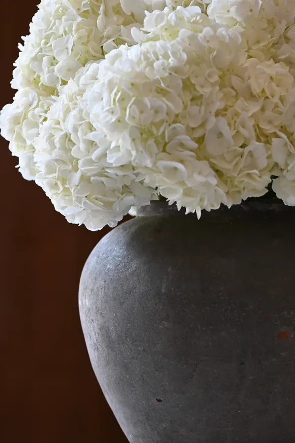 Design floral