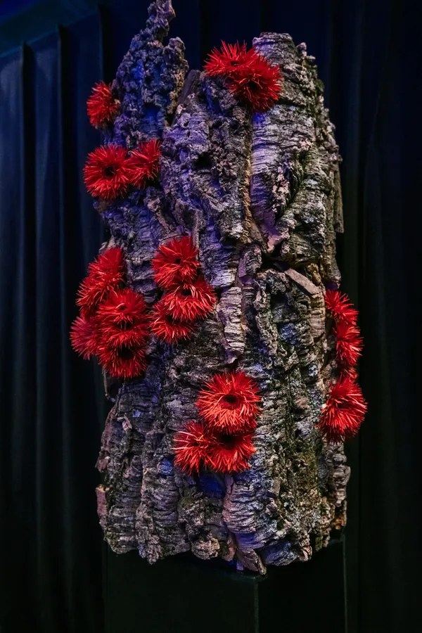 Design floral