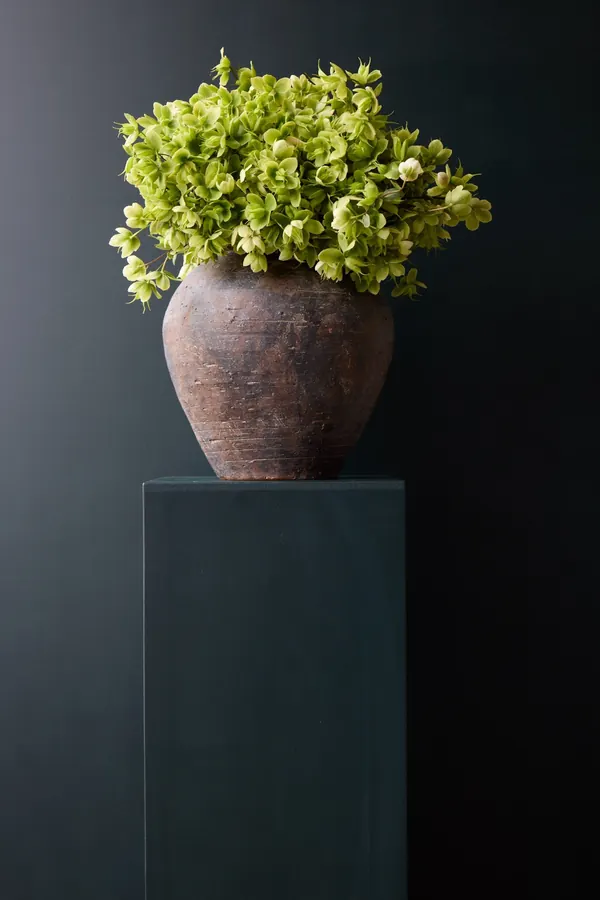Design floral
