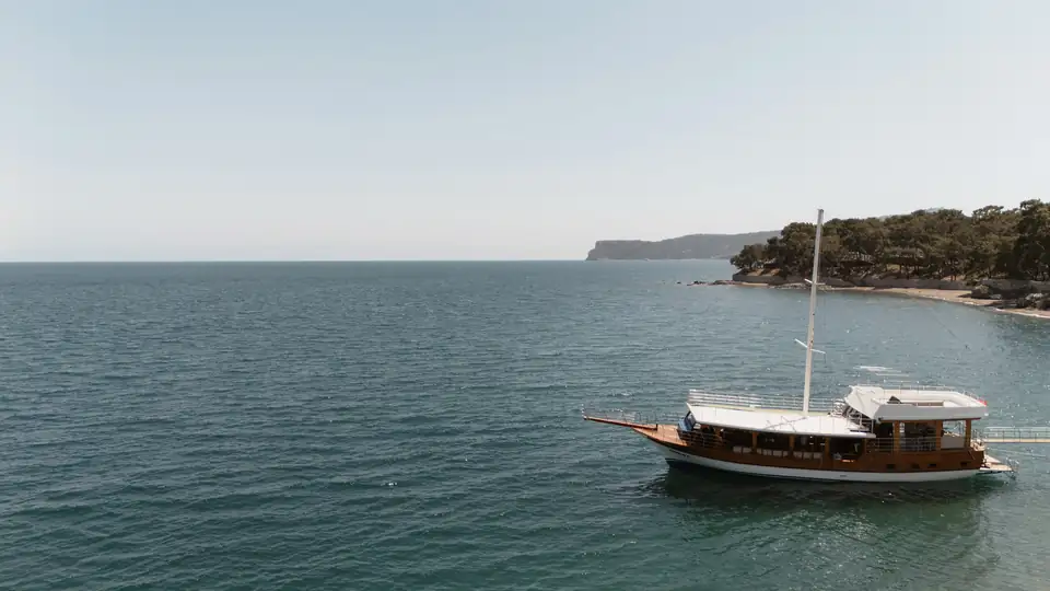 Palmiye — Photos 2