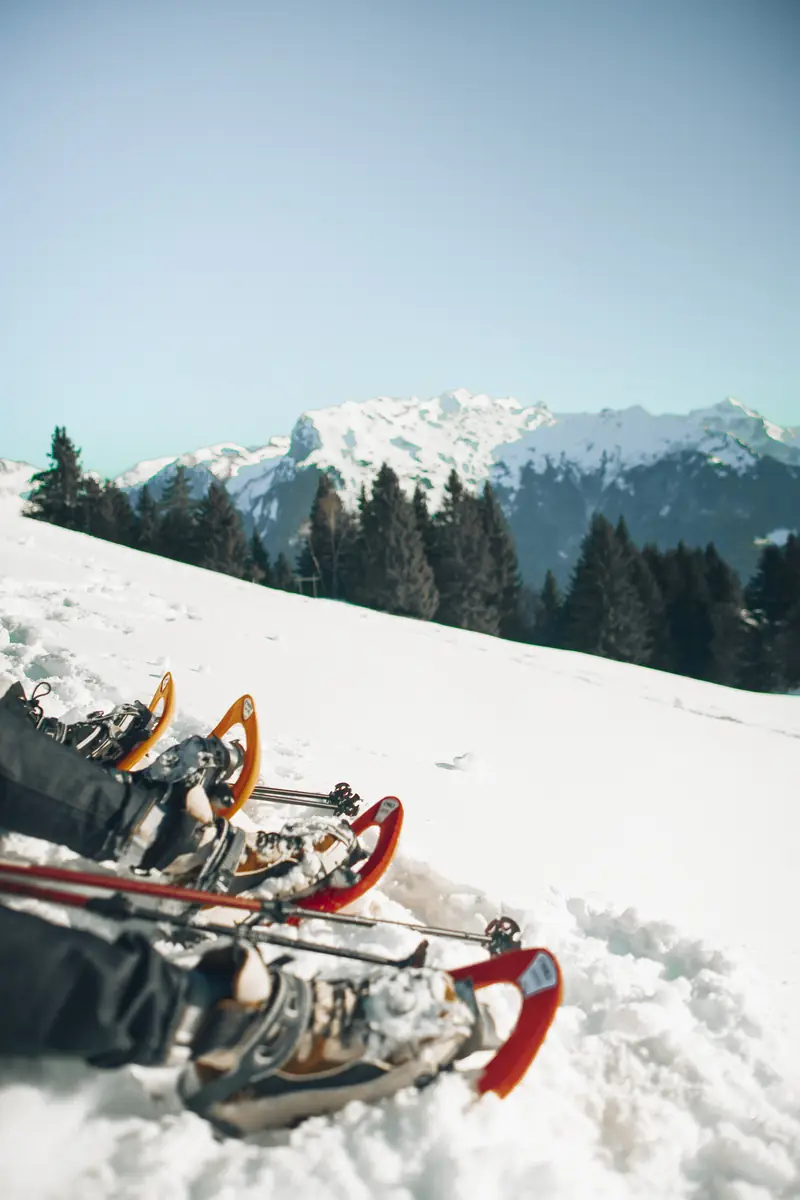 Sous vos pas, la Vanoise