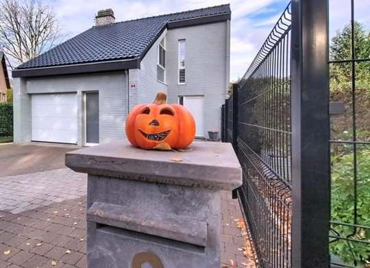 Maison unifamiliale option v.