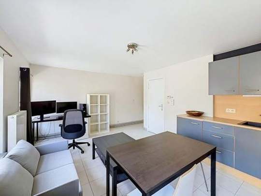 Appartement option l.
