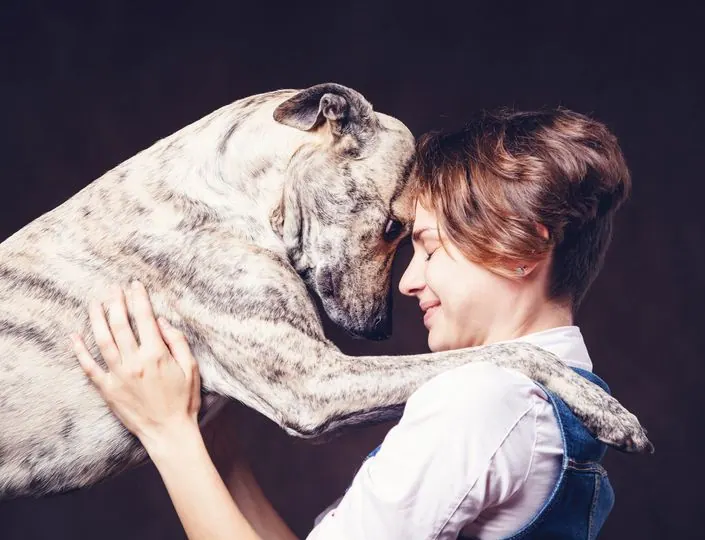 Une femme serre tendrement un grand chien bringé contre elle