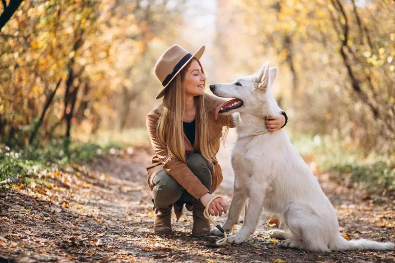 Une femme et un chien blanc dans une forêt d’automne