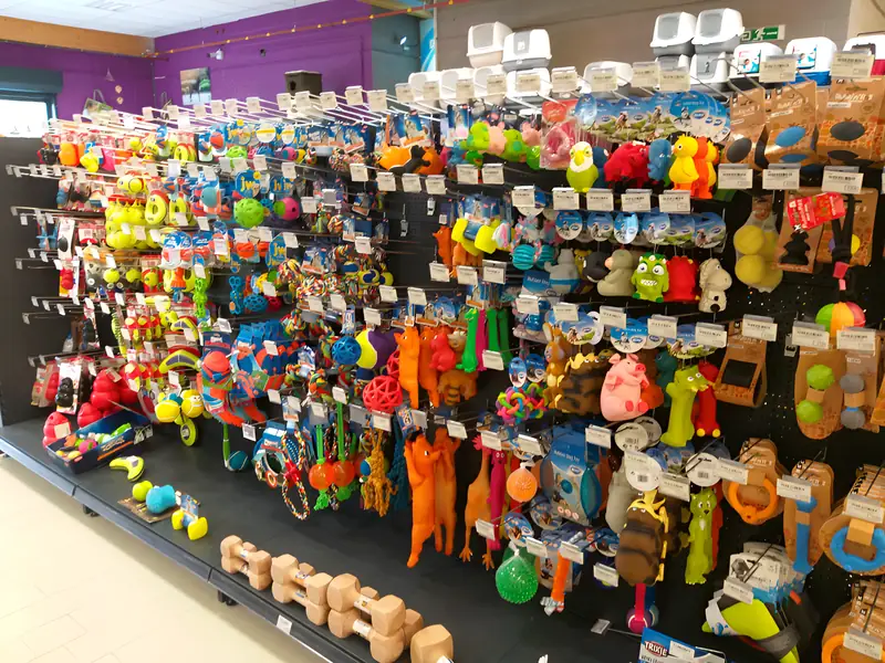 Poils & Plumes Gosselies 5