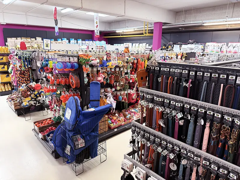 Poils & Plumes Uccle 4