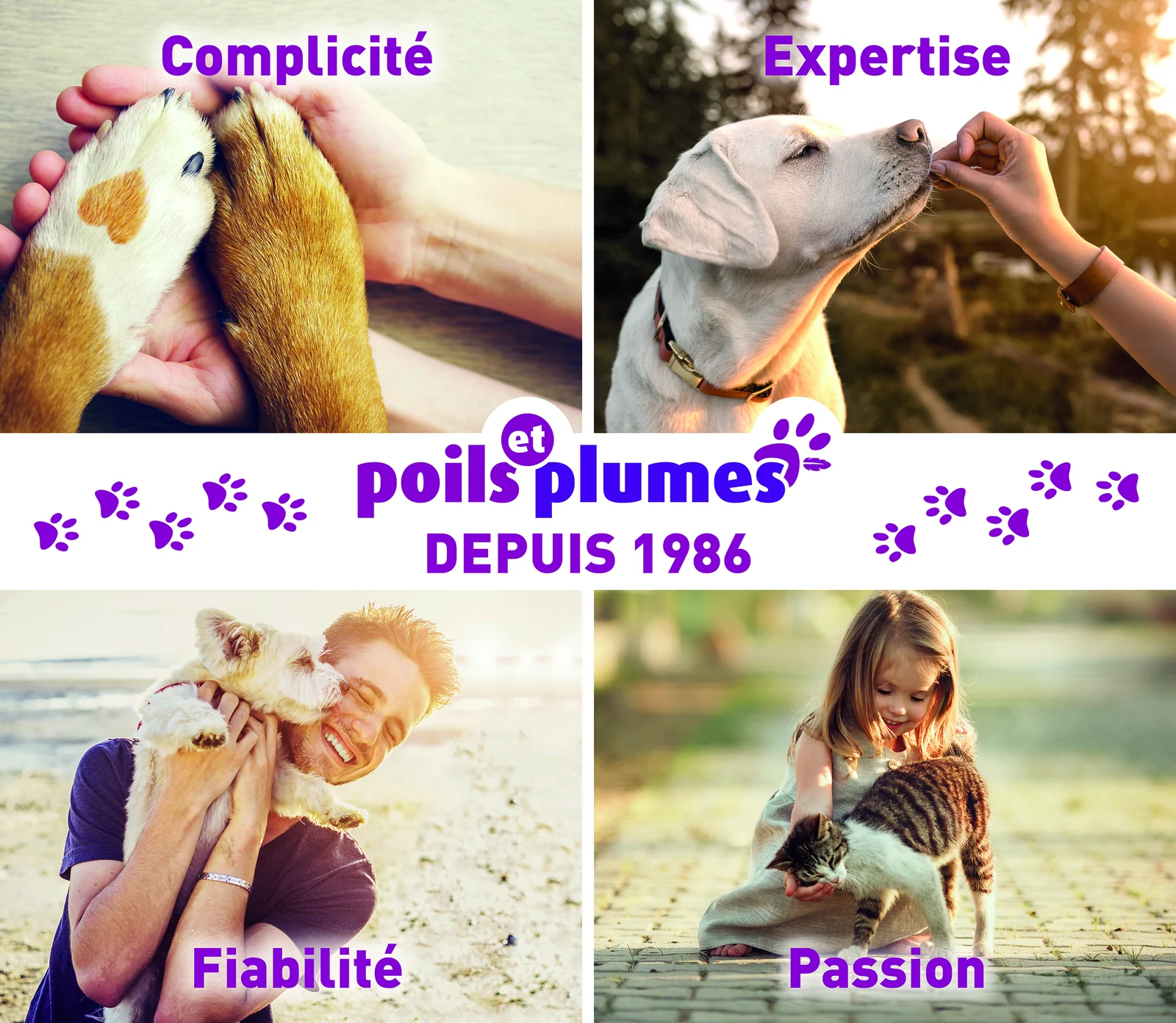 Complicité, expertise, fiabilité et passion, les quatre valeurs Poils & Plumes